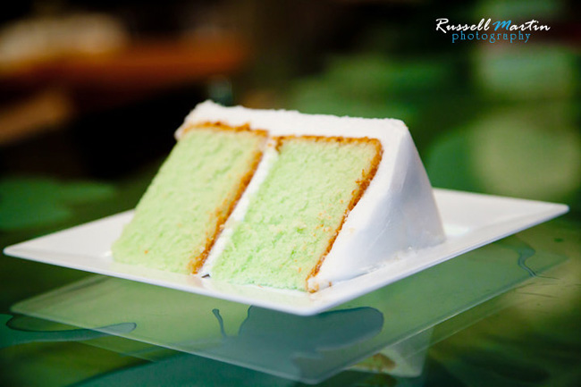 Gainesville Wedding Photographer