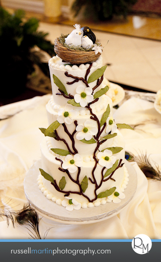 Citrus Hills Wedding  Photography