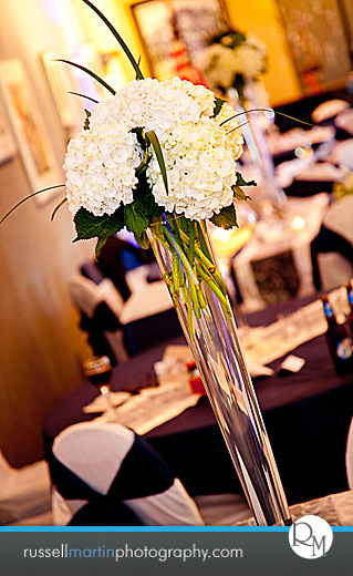 Daytona Beach Photographer