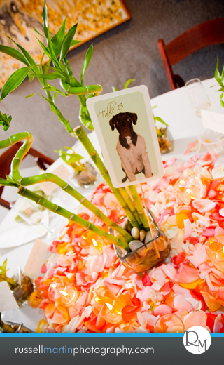 Daytona Beach Wedding Photography