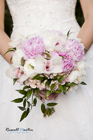 Gainesville Photographer