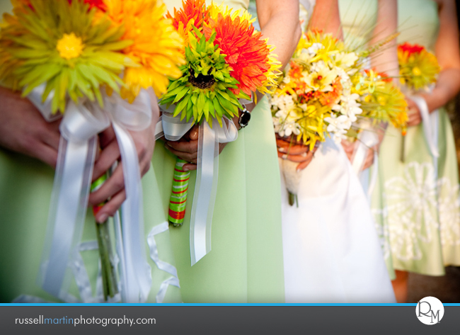 Gainesville Photographer