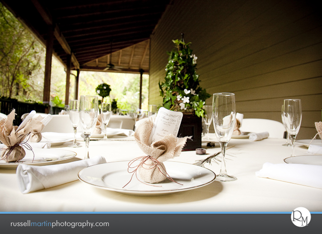 Kanapaha Botanical Gardens Photography