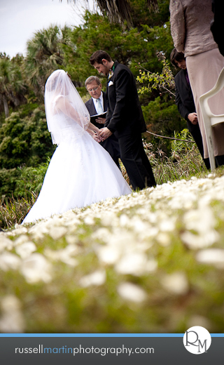 Kanapaha Botanical Gardens Photography