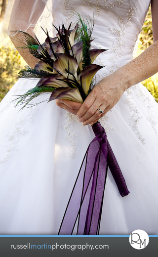 Kanapaha Botanical Gardens Photography
