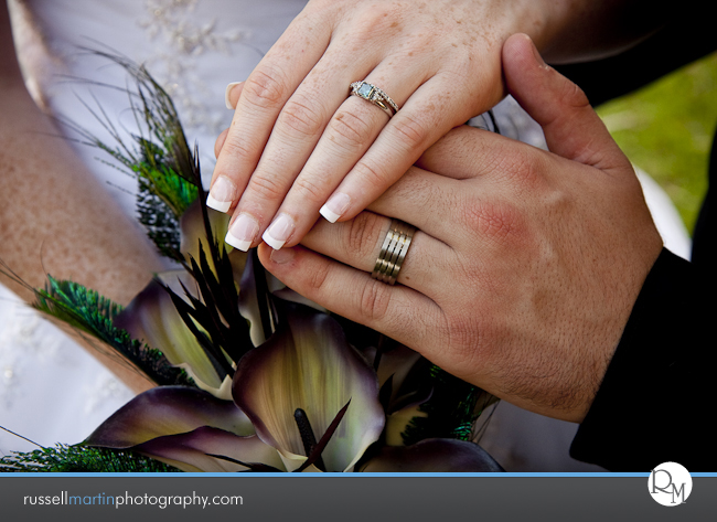 Kanapaha Botanical Gardens Photography