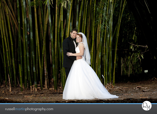 Kanapaha Botanical Gardens Photography