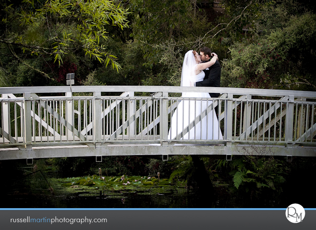 Kanapaha Botanical Gardens Photography