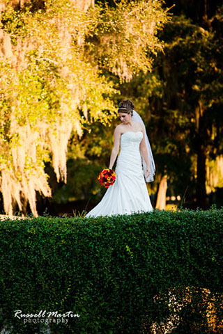 Gainesville Photographer