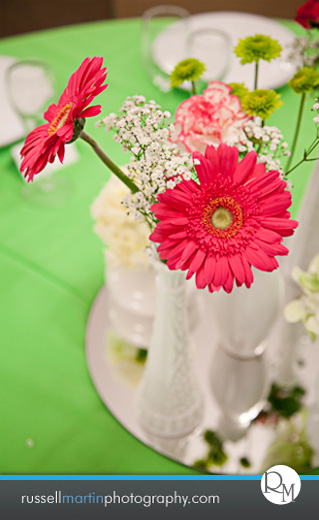 Gainesville Photographer
