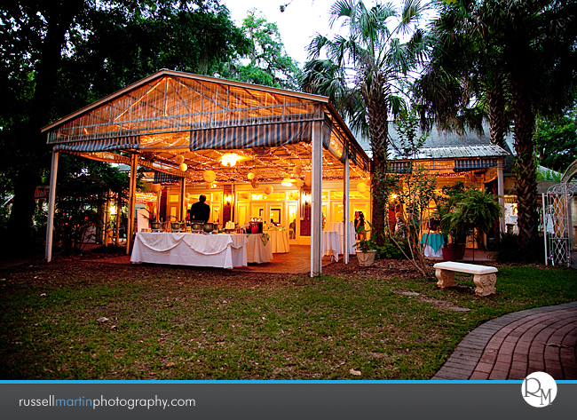 Gainesville Photographer