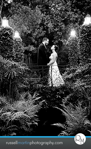 Gainesville Photographer