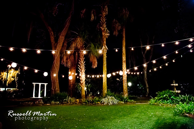 Gainesville Photographer