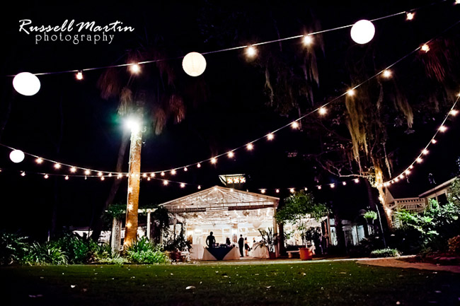 Gainesville Photographer