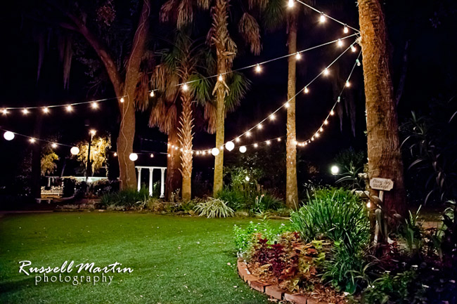 Gainesville Photographer