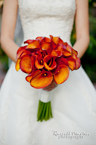 Gainesville Wedding Photographer