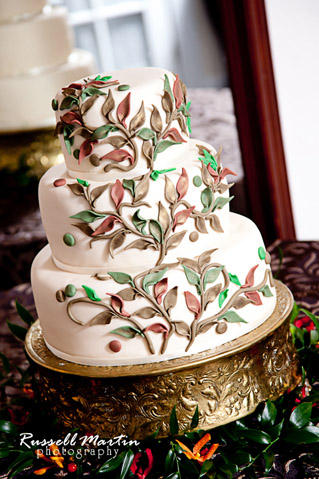 Gainesville Photographer