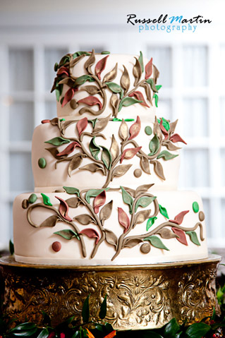 Gainesville Photographer