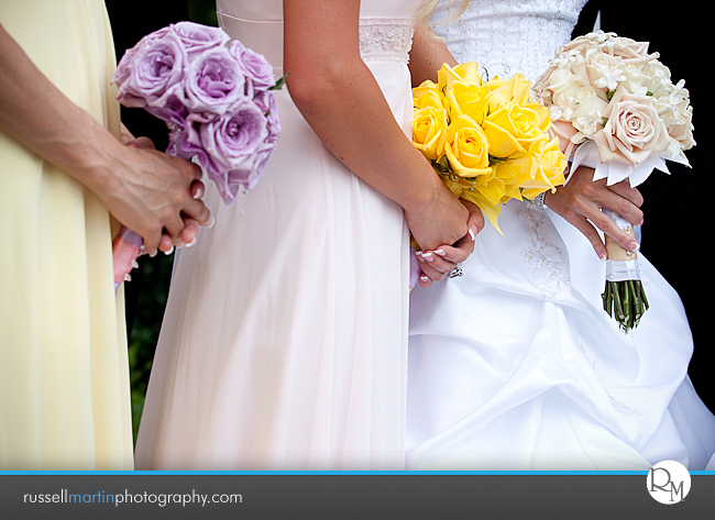 Golden Ocala Photographer