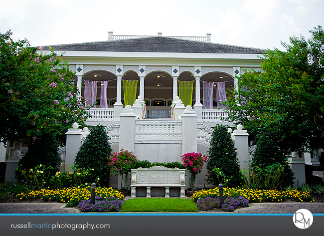 Golden Ocala Photographer