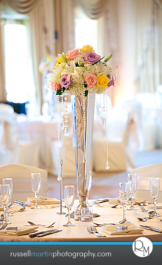 Golden Ocala Photographer