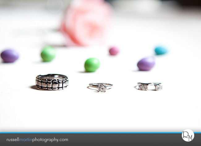 Golden Ocala Photographer