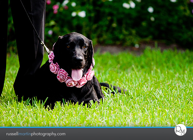 Ocala Photographer