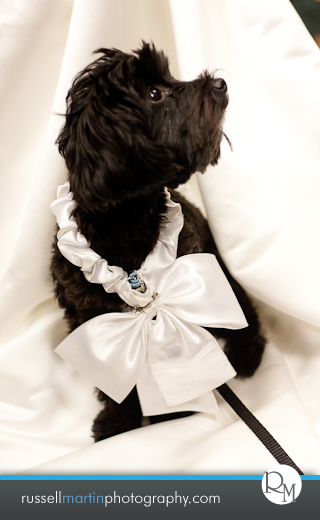 Gainesville Wedding Photographer
