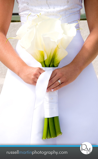 Honeymoon Island Beach Wedding Photographer
