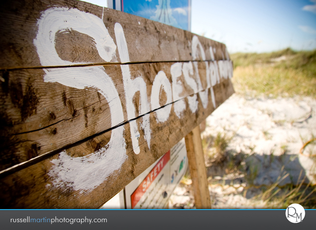 Honeymoon Island Beach Wedding Photographer