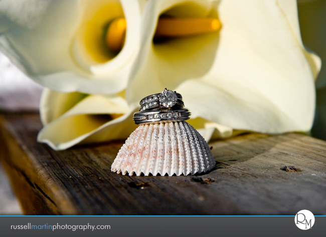 Honeymoon Island Wedding Photography
