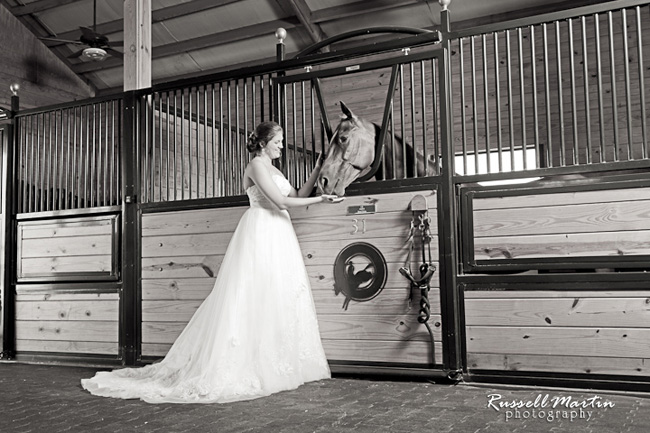 Gainesville Photographer