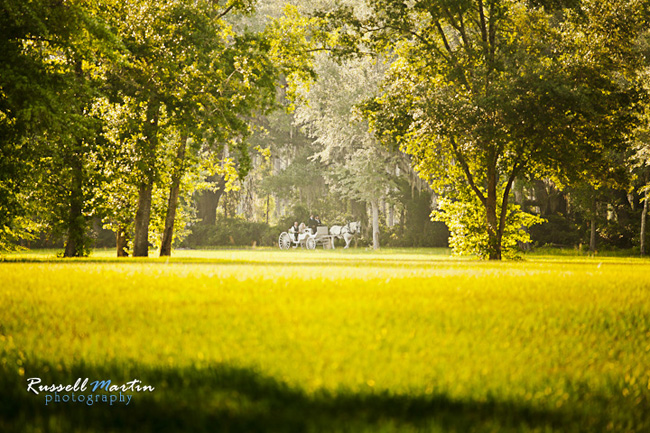 Gainesville Wedding Photographer