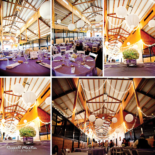 Gainesville Photographer