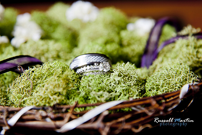 Gainesville Photographer