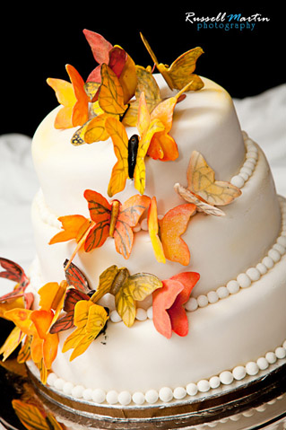 Ocala Photographer