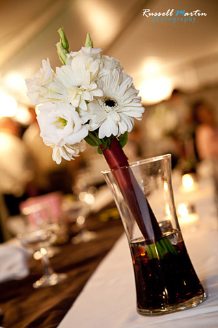Ocala Photographer