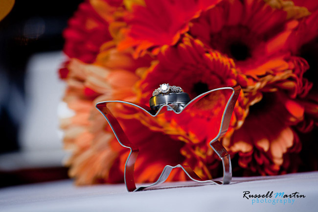 Ocala Photographer