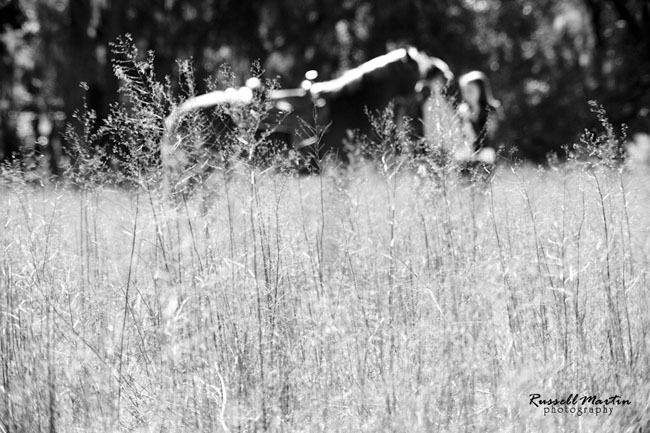 Gainesville Baughman Center Photographer