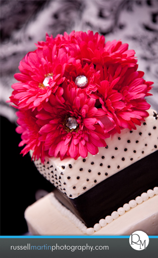 Ocala Wedding  Photography