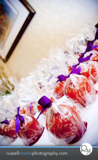 Ocala Wedding  Photography