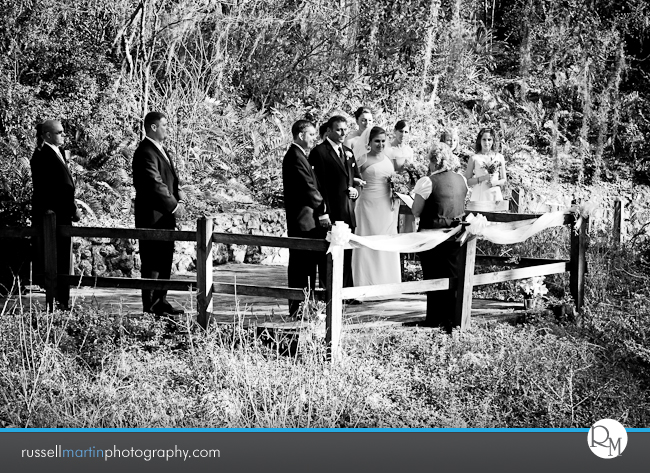 Rainbow Springs Photography
