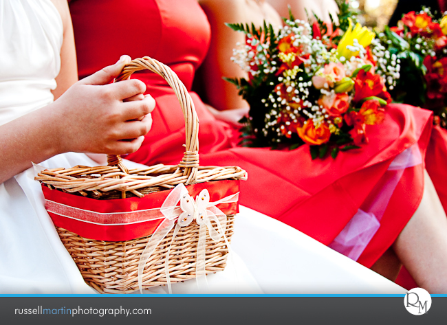 Rainbow Springs Photography
