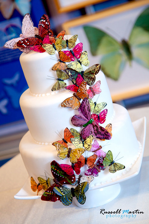 Gainesville Wedding Photographer