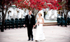 Gainesville Wedding Photographer