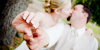 Ocala Wedding Photography