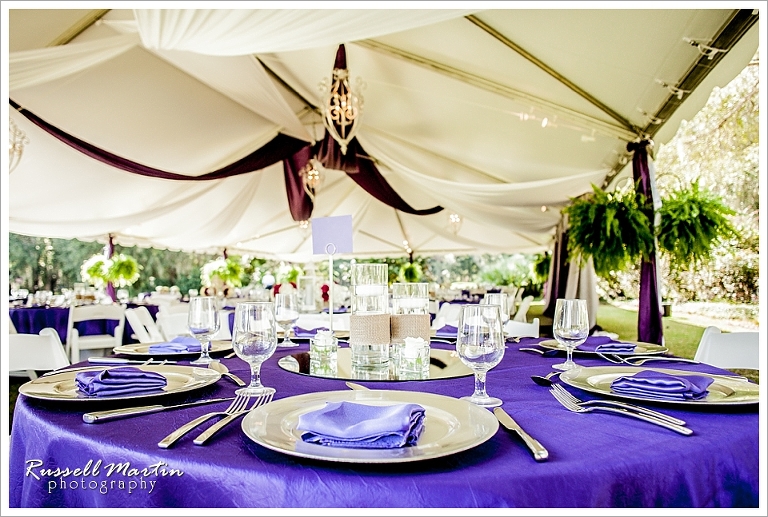 Purple, reception decor, Reception, Haile Plantation Golf and Country Club, Gainesville Wedding Photographer