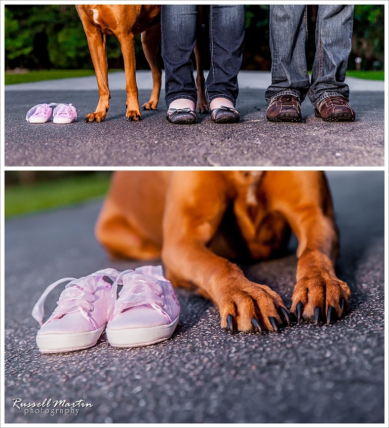 Ocala Maternity Portrait photographer, dog, paws, baby shoes