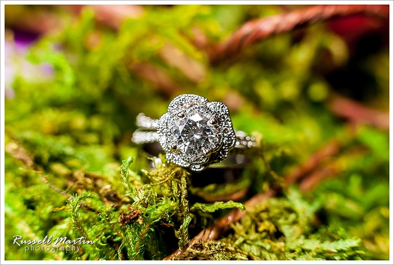 Golden Ocala Wedding, rings