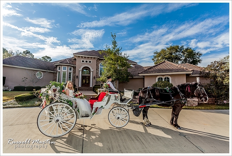 Black Diamond Ranch, wedding portrait, bride